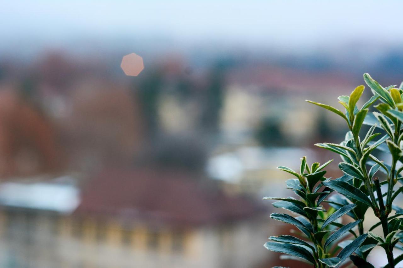 Sunny Side I Turin Suite Екстер'єр фото